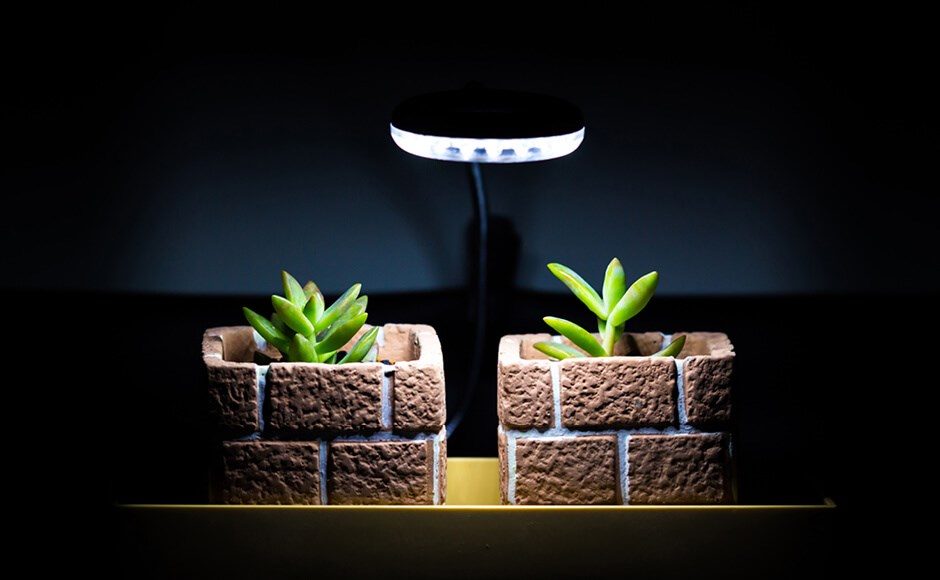 Iluminación artificial para plantas