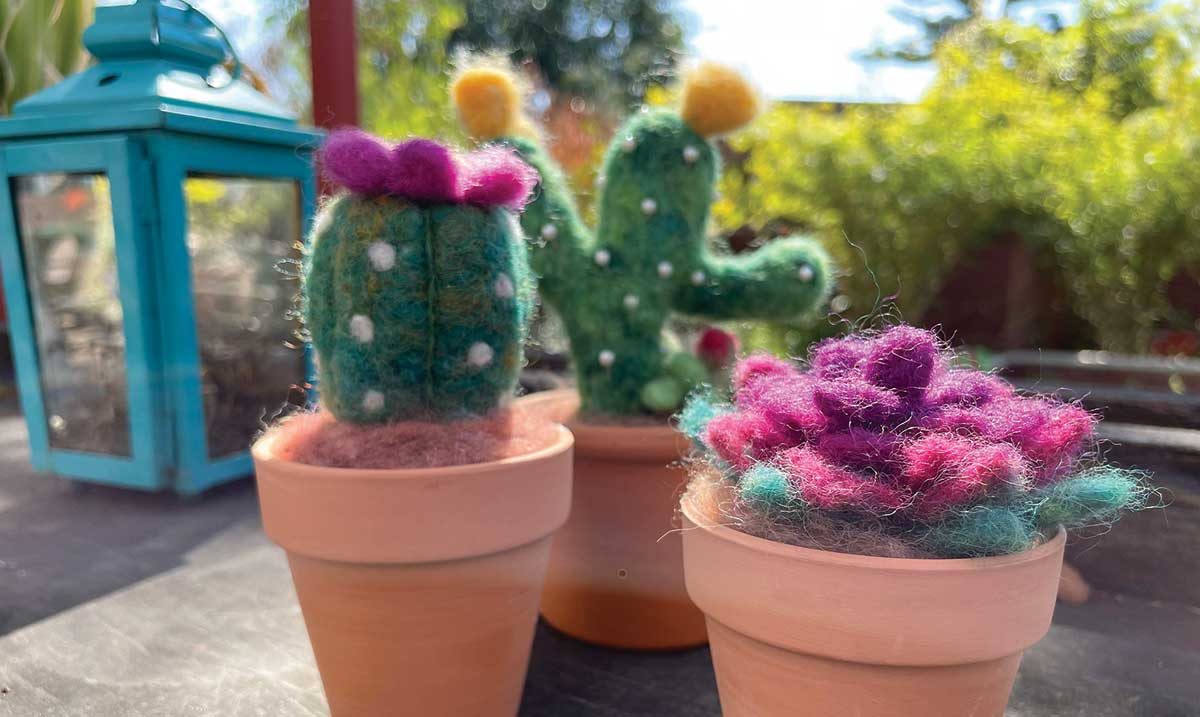Cactus personalizados, ideales para regalar en bodas
