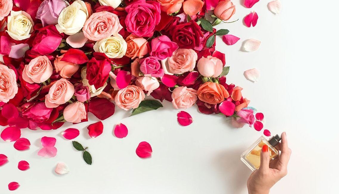 ¿Qué flores son las más usadas para la creación de perfumes?